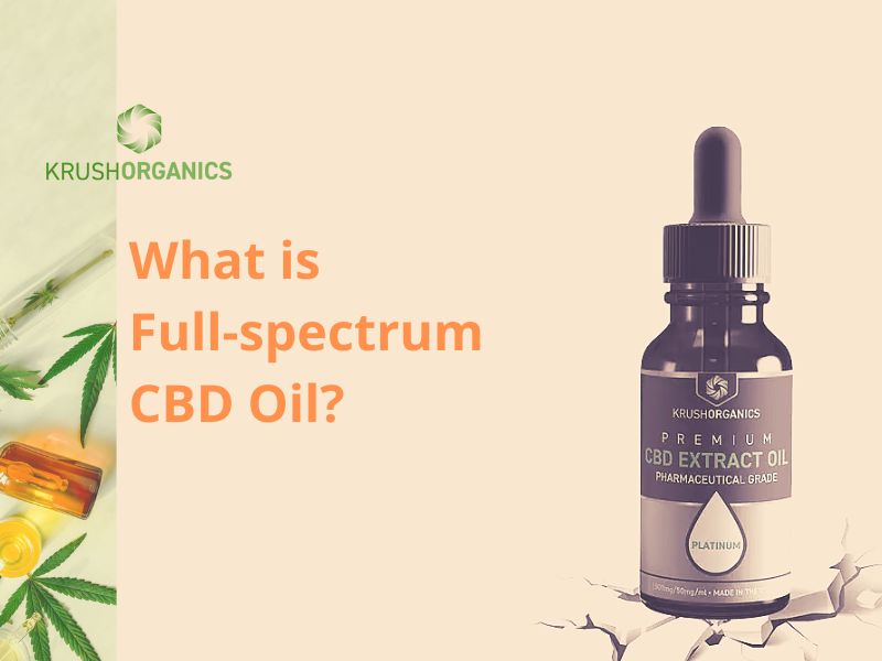 CBD Oil in Cairns: Where to Buy and What Locals Should Know