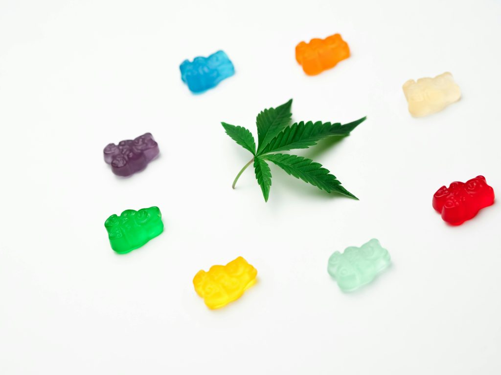 CBD Oil for Dogs Australia — Calm, Comfort, Recovery
