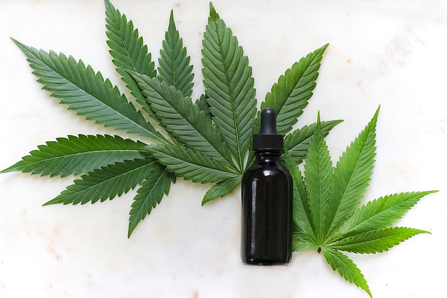 Hemp Oil vs CBD Oil: What’s The Difference?