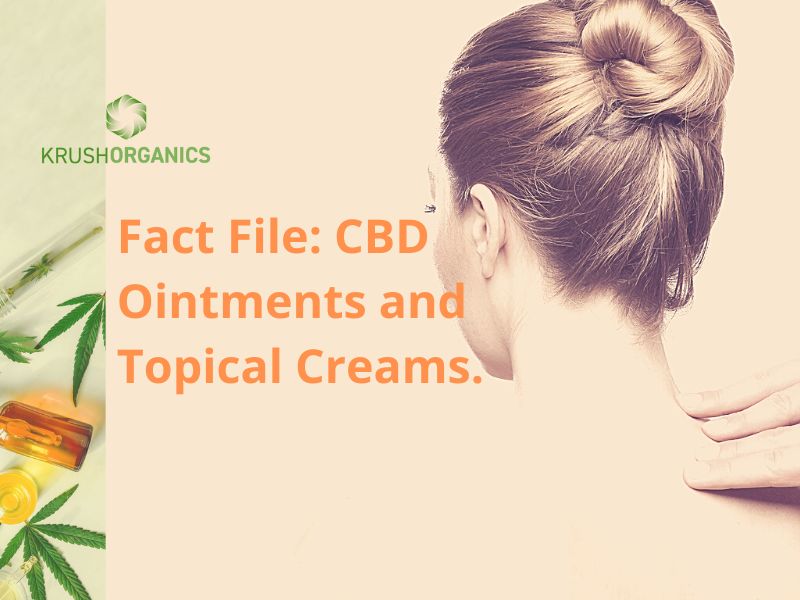 Fact File: CBD Ointments and Topical Creams&nbsp;