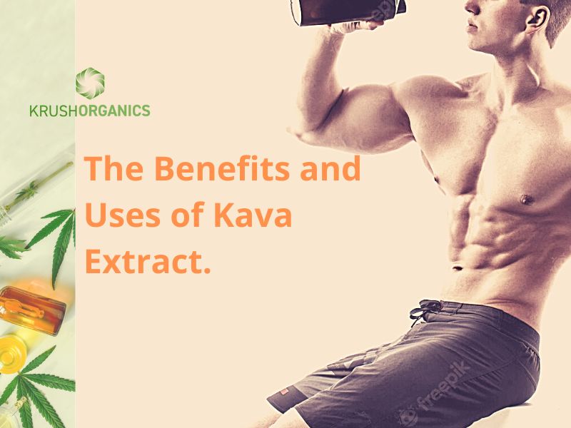 Kava Extract – Uses and Benefits