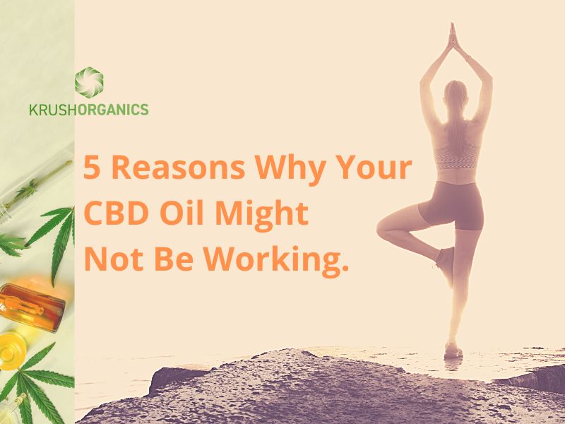 5 Reasons Why CBD Oil Might Not Be Working for You
